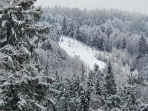 5 Residence Apartment