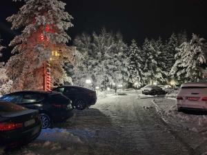 Harmonija Resort - Harmonija Kopaonik