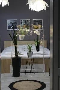 Viky Apartment - 萨图马雷