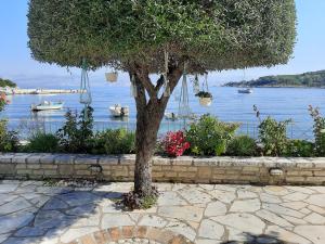 Imerolia Beach Villa Kassiopi Corfu Corfu Greece