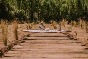 Hotel Vívelo Elqui Landscape