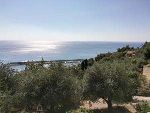 Ariadimare guest house