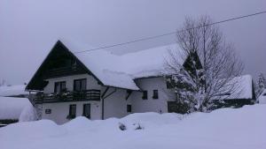 Apartments & Rooms Malej