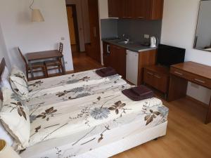 Studio-Incanto Villa park-Borovets