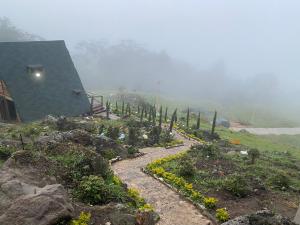 https www a hotel com es colombia 114174 chinacota