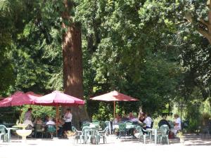 Hotels Logis - Villa des Bordes : photos des chambres