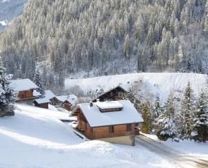 Chalets Chalet le Petit Ramoneur : photos des chambres