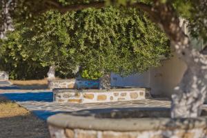 Olive Studios Karpathos Studio #4