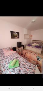 One-Bedroom Apartment room in Pejovic apartmani