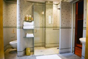 TOULOUSAINE DE STANDING - GARAGE - COUR - CINEMA