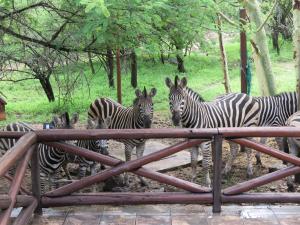 Milkwood Holiday Home