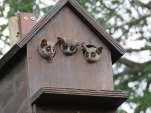 Milkwood Holiday Home