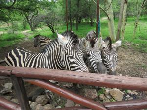 Milkwood Holiday Home