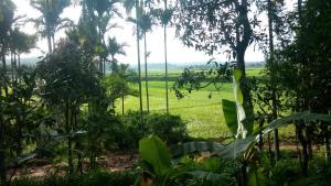 Wayal Wayanad Heritage villa