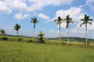 Wayal Wayanad Heritage villa