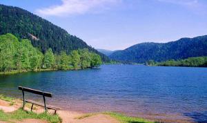 Appartements Appartement spacieux a Xonrupt-Longemer + Sauna : photos des chambres