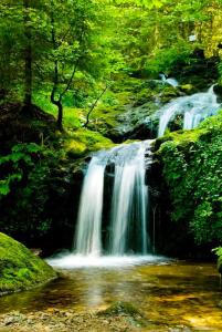 Appartements Appartement spacieux a Xonrupt-Longemer + Sauna : photos des chambres