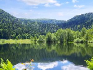 Appartements Appartement spacieux a Xonrupt-Longemer + Sauna : photos des chambres