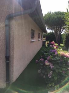 Maisons de vacances Maison de 4 chambres avec jardin clos et wifi a Saint Cyr sur le Rhone : photos des chambres
