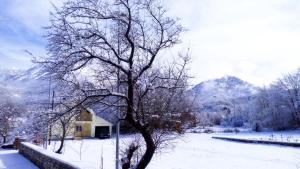 Charming chalet in Herceg Novi with fenced garden