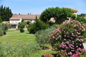 Maisons de vacances Maison de 2 chambres avec piscine partagee jardin clos et wifi a Monteux : photos des chambres