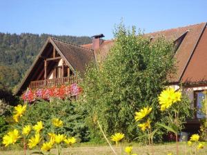 obrázek - Appartement de 3 chambres avec jardin amenage et wifi a Thannenkirch