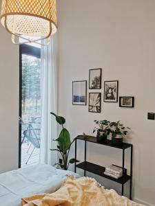 Domek MODERN Jezioro Nyskie