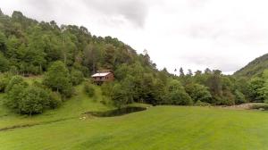 Entre Pampa y Bosque