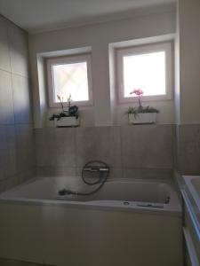 La Maison, 4 appartements 3 etoiles climatises au centre ville avec jardin proche du Parc et des Thermes : photos des chambres