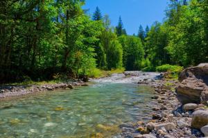 Appartements Lovely 2 Bed Apartment in Morzine with garden : photos des chambres