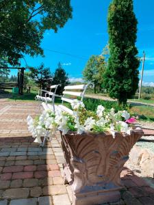 Готель Явір Агро