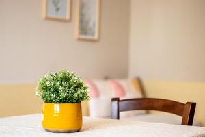 Agriturismo il Bio Nonno