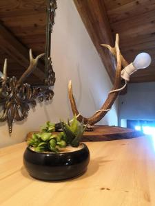 Appartamento la Torre Vinadio