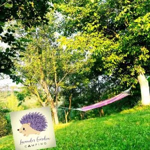 Lavander Garden Camping - Săcălaia