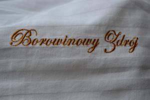 Borowinowy Zdrój Hotel Wellness Spa & Conference