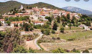 Maisons de vacances Gite l’olivier : photos des chambres