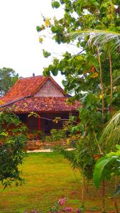 Villa Tengkek Karimunjawa