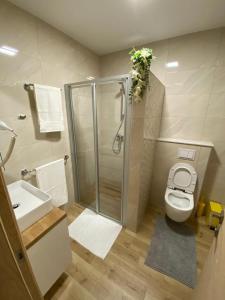 Luxury family apartment Tomi