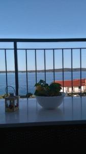 Apartment Jela - sea view