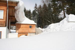 Appartement Felix by Schladmingurlaub