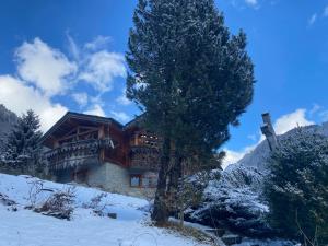 Lodges Lodge Jardin Secret - Proprietes Mont Amour : Chambre Lit King-Size - Vue sur Montagne