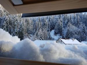 Appartements Le petit Kichon : photos des chambres