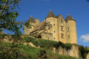 Maisons de vacances Petite maison en pierre au coeur du Perigord noir proche de Sarlat et Rocamadour : photos des chambres