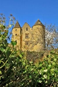 Maisons de vacances Petite maison en pierre au coeur du Perigord noir proche de Sarlat et Rocamadour : photos des chambres