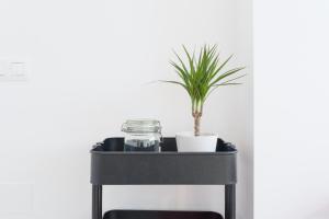 Hygge Apartment Center Near to the beach Free Parking 2R