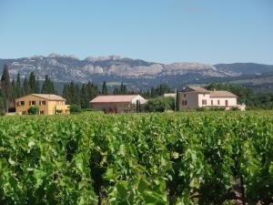 Appartements Gite Les Vignes : photos des chambres