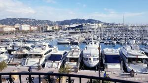 Appartements CANNES STUDIO - wifi, clim : photos des chambres