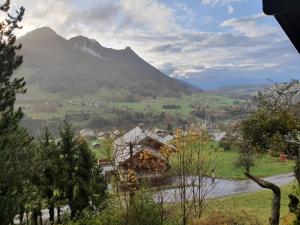 Appartements Chalet Tante Emma : photos des chambres