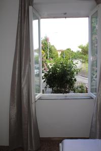 Double Room room in Alle Terme B&B