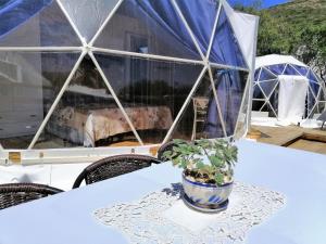 B&B Glamping Semaforo Capo Sperone img19